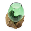 Green Recycled Beer Bottle Molten Glass Bowls on Wood - In 5 Unique Sizes & Shapes