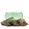 Green Recycled Beer Bottle Molten Glass Bowls on Wood - In 5 Unique Sizes & Shapes