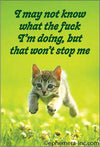 'I may not know what the fuck I'm doing, but that won't stop me' Funny kitten magnet