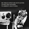 Ambient Jazz Cat Vintage Comedy Greetings Card14x14cm