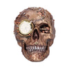 Scrapped Metal Bronze Skull Ornament with Clock 19cm