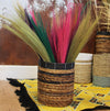 Pampas Long Broom in Vivid colours