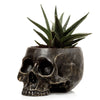 Dark Resin Indoor or Outdoor Skull Planter