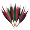Pampas Long Broom in Vivid colours