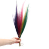 Pampas Long Broom in Vivid colours