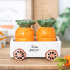 Carrot Patch Salt and Pepper Shakers in Wagon