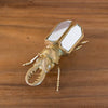 Gold Scarab Beetle Ornament