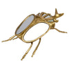 Gold Rhino Beetle Ornament with Mirrored Glass Shell