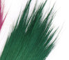Pampas Long Broom in Vivid colours