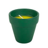 Green candle in a pot on a white background