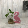 Hydroponic Wooden Planter - Pineapple or Flamingo