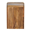 Edessa Bone Inlay Mango Wood End Table
