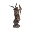Large Bronze Resin Zeus King of Gods Statue 30cm