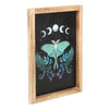 Luna Moth & Moon Phases Wooden Framed Wall Art