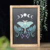 Luna Moth & Moon Phases Wooden Framed Wall Art