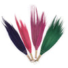 Pampas Long Broom in Vivid colours