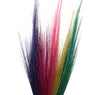 Pampas Long Broom in Vivid colours