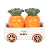 Carrot Patch Salt and Pepper Shakers in Wagon