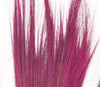 Pampas Long Broom in Vivid colours