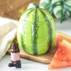 Watermelon Ceramic Lidded Oil Burner and Wax Warmer