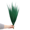 Pampas Long Broom in Vivid colours