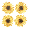 Summer Sunflower Shape Set of 4 Coasters