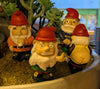 Naughty Rude Gnomes Plant Pal Mini Figures
