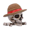 One Piece Luffy Jolly Roger Sculpture with Storage Box