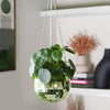 Disco Ball Hanging Planter - Green (6in)