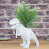 White T-Rex Dinosaur Planter