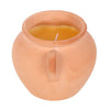 Terracotta Urn Citronella Candle