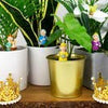 Mini Plant Pot Pals - Queen Elizabeth Royal Gardeners