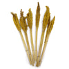 Natural Cantal Grass Bunches in 8 Colours