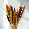 Natural Cantal Grass Bunches in 8 Colours