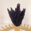 Natural Cantal Grass Bunches in 8 Colours