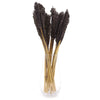 Natural Cantal Grass Bunches in 8 Colours