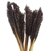 Natural Cantal Grass Bunches in 8 Colours