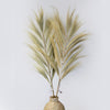 Large Rayung Dried Grass Displays in Variety of Colours