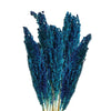 Natural Cantal Grass Bunches in 8 Colours