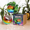 Rainbow Colour Disco Ball Hanging Planter - (8in)
