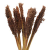 Natural Cantal Grass Bunches in 8 Colours