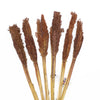 Natural Cantal Grass Bunches in 8 Colours