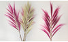 Large Rayung Dried Grass Displays in Variety of Colours