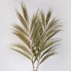 Large Rayung Dried Grass Displays in Variety of Colours