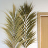 Large Rayung Dried Grass Displays in Variety of Colours