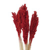 Natural Cantal Grass Bunches in 8 Colours