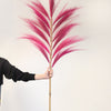 Large Rayung Dried Grass Displays in Variety of Colours