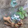 Recycled Molten Glass Wine Decanters on Wooden Base