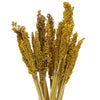 Natural Cantal Grass Bunches in 8 Colours