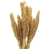 Natural Cantal Grass Bunches in 8 Colours